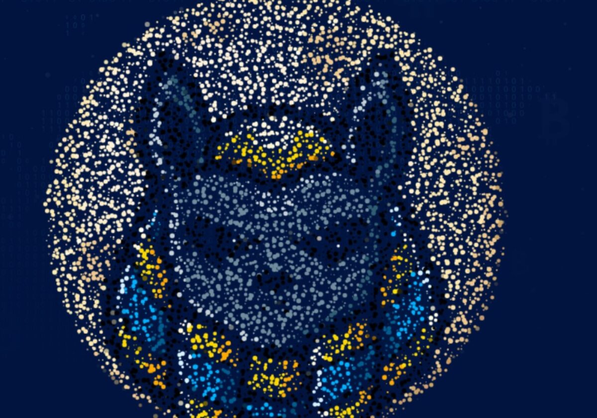 Anubi Coin Chart How Is Anubi Crypto Performing Publicist Paper