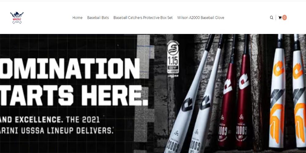 Mintelf Reviews Is Mintelf.com a Scam? - Publicist Paper