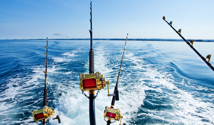 Deep Sea Fishing