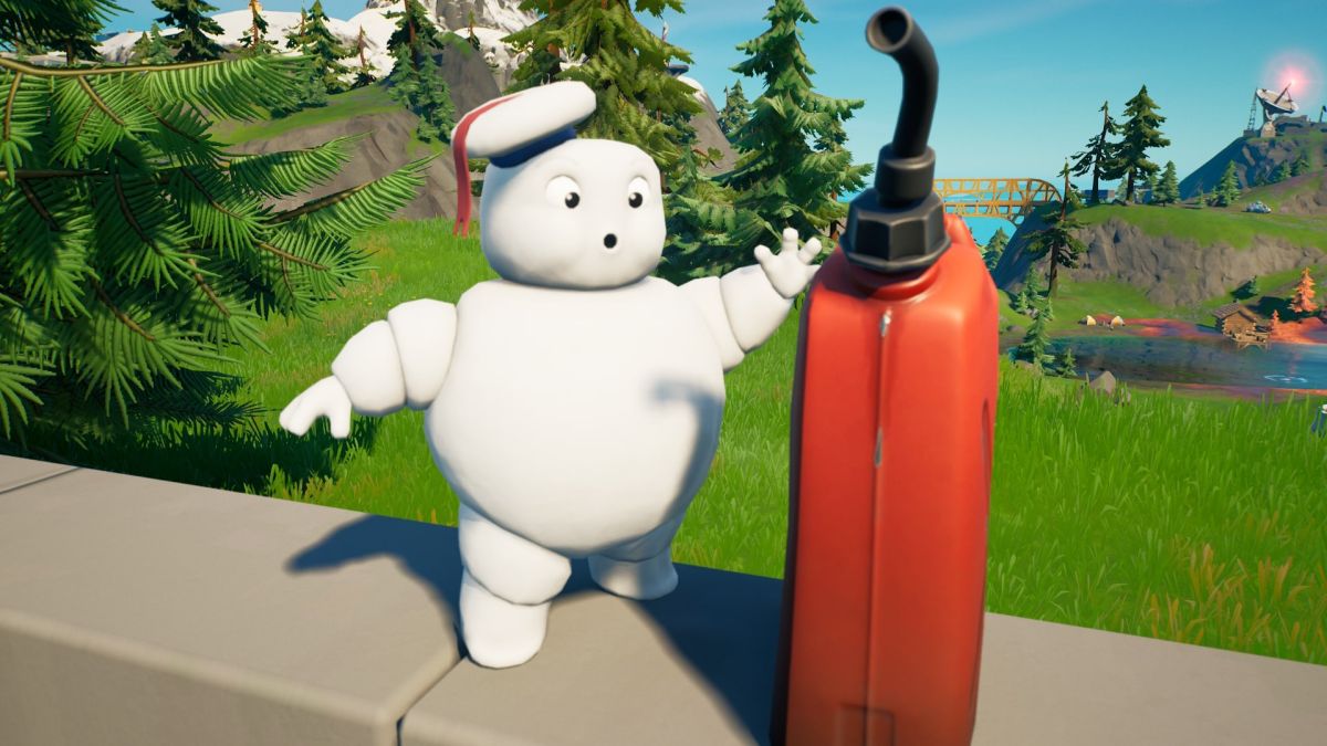 Where are your papers in german image