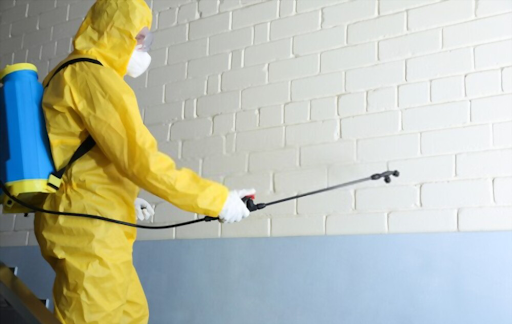 Control Sydney Services