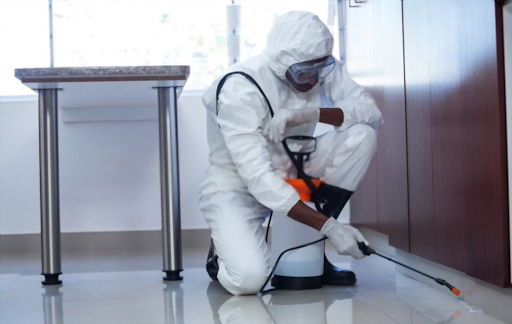 Pest Control in Melbourne