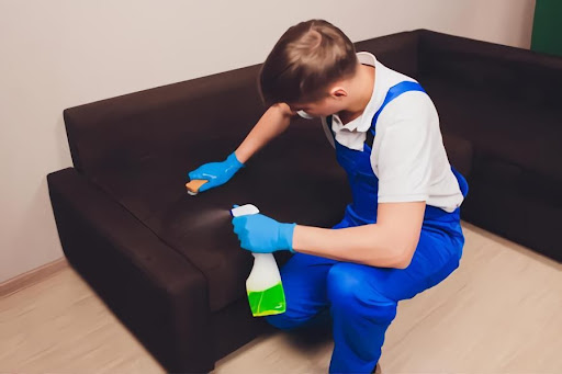 Sofa Cleaning