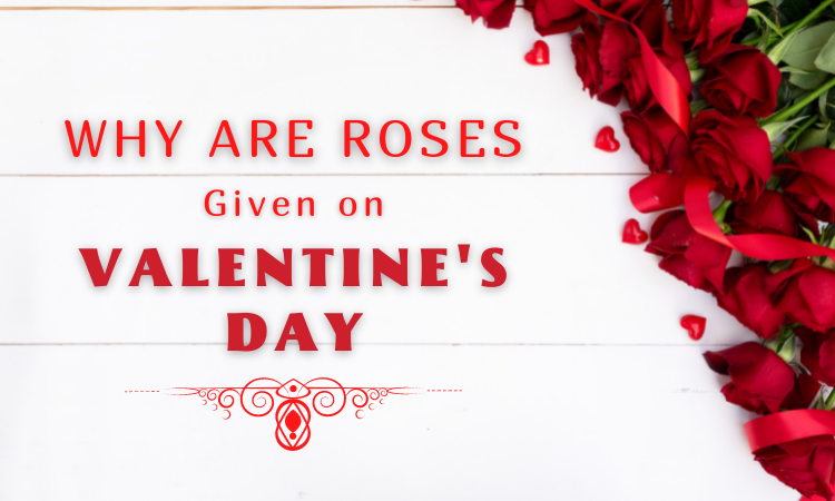 Why areWhy are Roses Given on Why are Roses Given on Valentine's DayDay Roses Given on Valentine's Day? When it's Valentine's Week, you can find shops are stocked with red roses. But ever wondered what makes roses so popular and which is the best rose for Valentine day? Today we'll tell you the real reason why roses are preferred on Valentine's Day. You must be aware that roses make a big deal in starting and even ending a relationship. You can find mention of roses as symbolism everywhere in literature and poetry. You can even find people getting inked with rose tattoos. It shouldn't be a surprise that roses for Valentine's Day outnumber every other flower with such popularity. You might be amazed to know that 250 million roses are produced every year, especially for this special day of love. But did this question ever come to your mind that why roses became the top Valentine's Day gift? Here's why. Goddesses and Saints Everything started when Aphrodite met St. Valentine. Well, not really, Okay! But, these two important figures have much to do with Valentine's Day and the flower most associated with this day of love. Greek mythology says Aphrodite is the Goddess of love, desire, and beauty. She fell in love with Adonis, who loved to hunt, and warned him not to pursue animals in his hunts that seemed unafraid. But he didn't listen. When Ares, Aprodite's ex and the god of war, turned himself into a wild boar, Adonis took the bait and got killed. A distraught Aphrodite ran towards him, cutting her foot in the process. As she ran, her blood turned a nearby white rose into a red one, transforming the flower into a symbol of love. Then there is another story to it, in third-century Rome, there was a priest named Valentine. He landed in prison to perform wedding ceremonies. Emperor Claudius the II banned all marriages because he thought all men who would marry and have families and wives would avoid going to war. When Valentine defied his order, Claudius ordered to kill him. While awaiting execution, Valentine fell in love with the daughter of a jailor and signed a letter to her saying, "From your Valentine." The Language of Flowers Another story deals with a Swedish king and a British aristocrat who were also instrumental in the rise of the rose as the ultimate romantic gift. In the 1700s, Lady Mary Wortley Montagu, wife of Britain's ambassador to Turkey, got fascinated with a local practice. It was to use flowers and plants to send secret love messages. She later shared her discovery and sent it back to her home in England, where it became a huge hit. On his visit to Persia in the 1800s, Charles II, the king of Sweden and Norway, stumbled upon flowers to express emotions. His report that roses translated to true love spread like wildfire all across Europe, and roses became immensely popular. Floriography became a Victorian era's obsession after both of these discoveries. People started memorizing flower dictionaries to send bouquets full of secret meanings. The Color of Love Roses are red, and yes, you know the rest. But are you aware of what all other colors of roses mean according to the language of flowers? As Charles II learned, red roses are meant for the ones we love or desire. This is enough to explain the fact why 69% of all roses bought on Valentine's Day are red. And this gives you another reason that you must reconsider and rethink much before you give red roses to your sister, grandma, or just a friend. If you find someone awesome and you want to appreciate their presence and are happy to have them in your life, then gift them pink roses. They are perfect for being gifted to friends you love, your co-workers, teachers, or that cafe coffee day worker who knows your exact order without having to ask. Likewise, If you wish to honor someone or celebrate their innocence, send them some lovely white roses. This is the major reason why a bouquet of white roses is given at weddings and used in funeral wreaths. If you wish to showcase your happiness, send across some bright and beautiful yellow roses to symbolize friendship. On the other hand, give peach roses as a formal thank you to someone who always had your back. And of course, if you know that someone you love has a color preference - then that's always the one to run with. It's Just Not All About the Romance There are many non-romantic reasons as well for roses becoming the queen of the Valentine's flower market. This is majorly because of their ability to stay beautiful while traveling great distances. Roses are much more resistant to weather conditions than lilies or tulips. This is because they are summer-blooming flowers, and Valentine's Day falls in the winter holidays. Maximum roses that you see on Valentine's Day in stores have made their way thousands of miles from South America or Africa in just a few days to get there. Limitless Gifting Potential And yes, that's not all of it; there's a lot more to roses. Roses have a secret language, and there's yet another way to use them in place of words. Give one Valentine day gift rose, and it will tell your Valentine that you fell in love at first sight. Giving three roses is significant for saying I love you, and ten roses mean you think they're perfect.