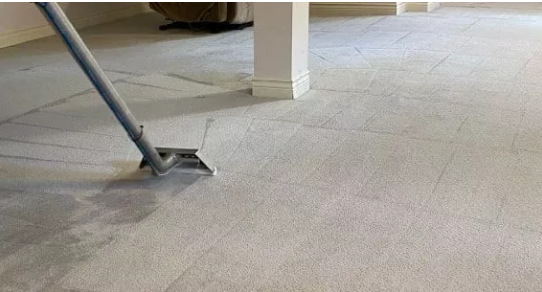 carpet steam cleaning.