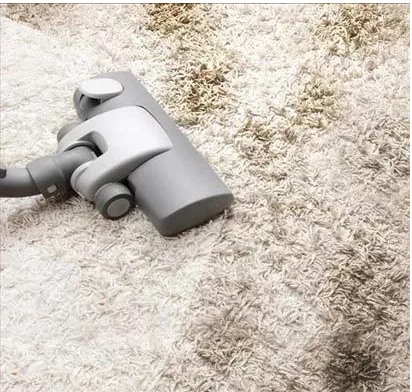 carpet cleaning