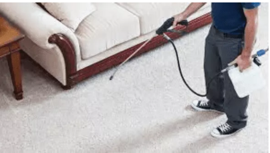 Professional Carpet Cleaning Services