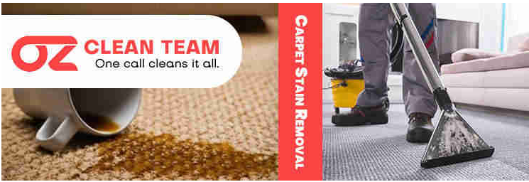 steam carpet cleaning services