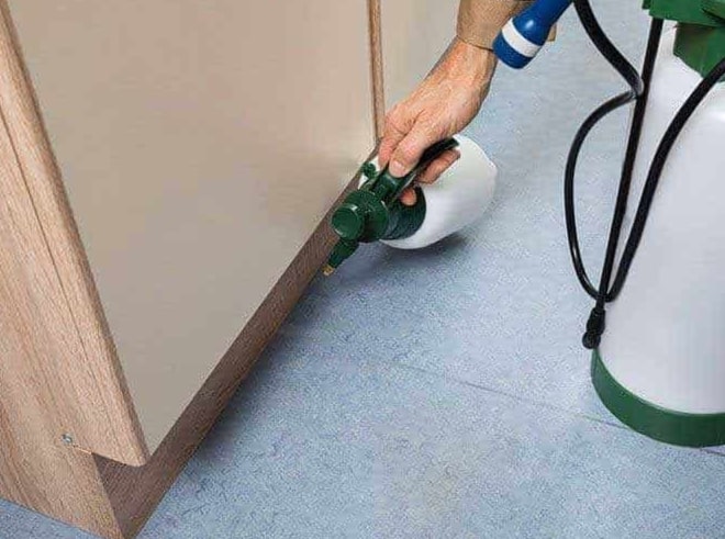 Professional Pest Control