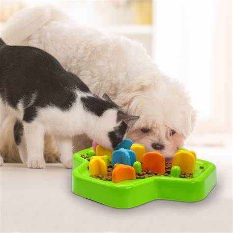 What Can Be the Most Fun-Loving Games For Your Pet
