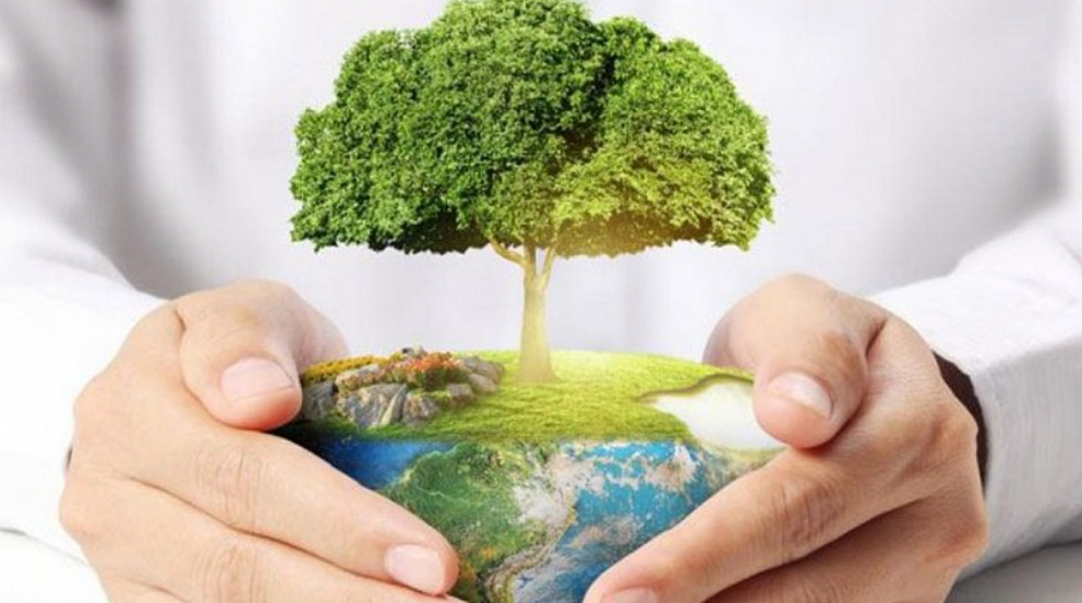 How To Be More Eco Friendly Tips & Tricks