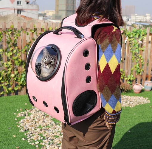 Cat backpack