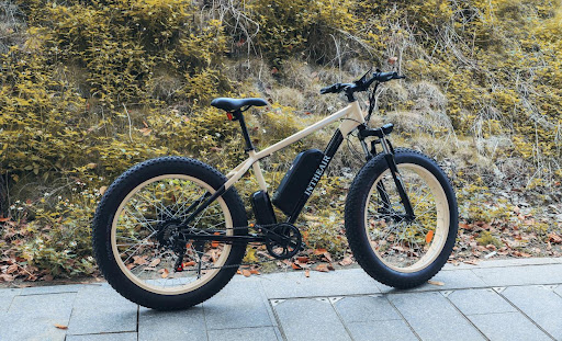 Best Fat Tire Ebike for All-terrain | Intheair Bears
