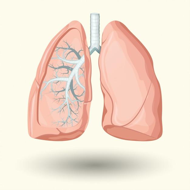 How to Pay Your Labcorp Collection Quick and Easy Guide Publicist Paper