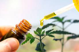Best CBD Oil for Sleep