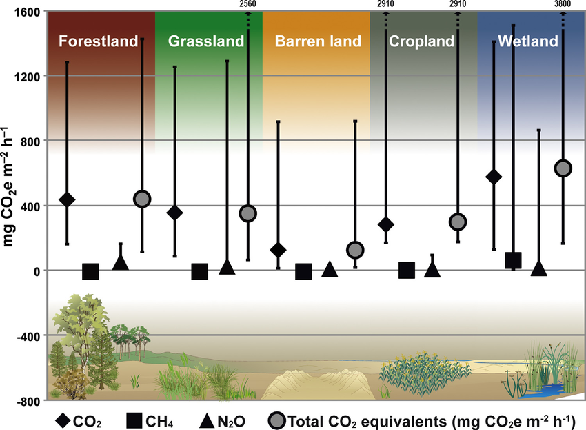 N2O vs CO2 - Understanding the Differences