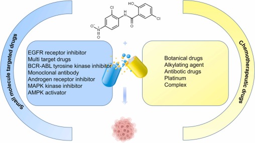 Niclosamide has a broad range of potential applications due to its versatility