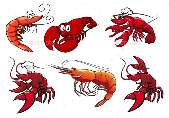 Understanding the Difference