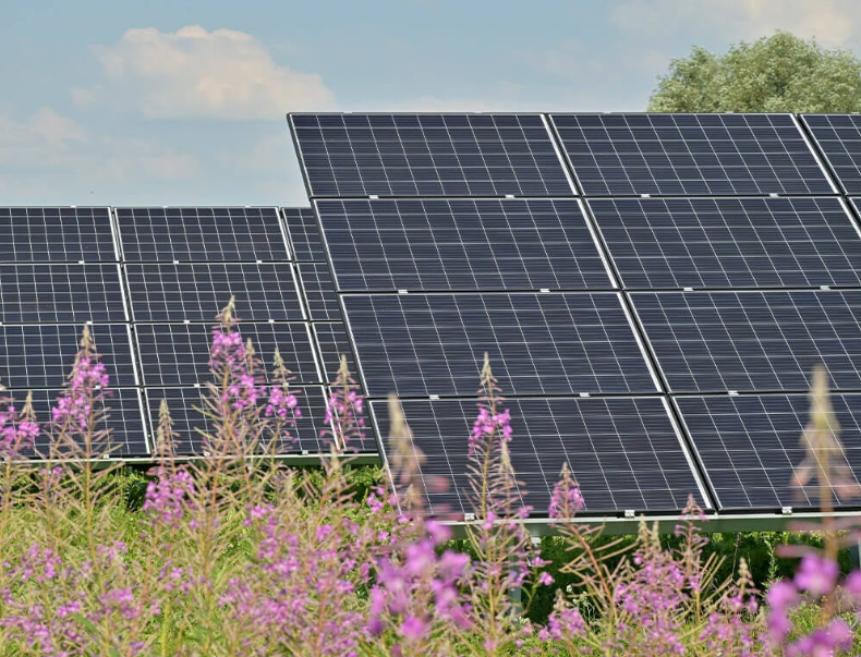 12 Volt Solar Panels