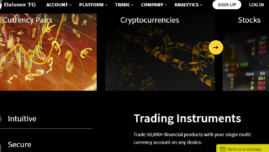 Dalsson Trust Group Review