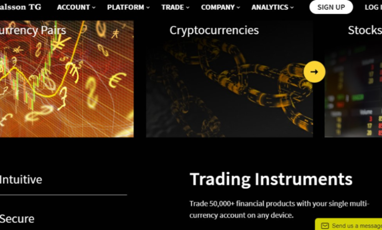 Dalsson Trust Group Review