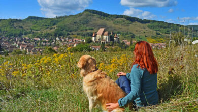 Dog-friendly Europe Vacation