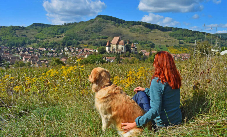 Dog-friendly Europe Vacation
