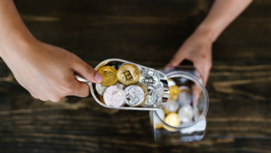 Purchasing Saitama Inu & Exploring BTCHackz com