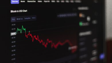 Cryptocurrency and Forex Scams Head