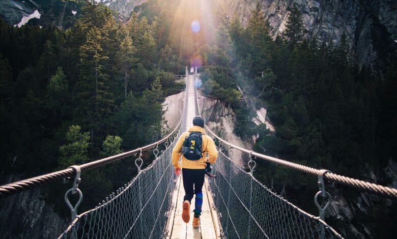 Potential of Customized Travel