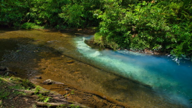 Why is Costa Rica such a Popular Destination for Eco-Tourism?