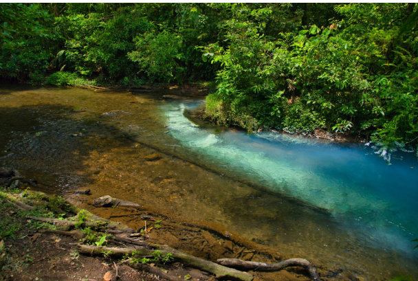 Why is Costa Rica such a Popular Destination for Eco-Tourism?