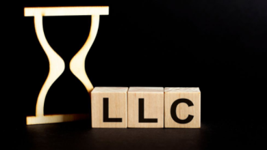 Comprehensive Guide to Online LLc formation Service