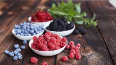 Essential Information about Antioxidants