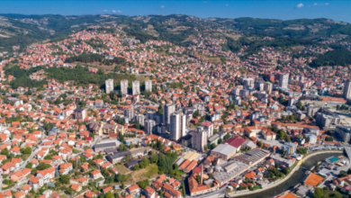 Embarking on a Serbian Business Venture