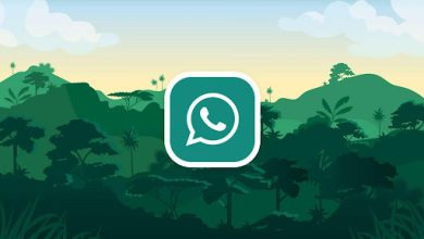 GBWhatsApp APK Download