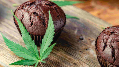 Indulge Your Senses with Edibles Chocolates