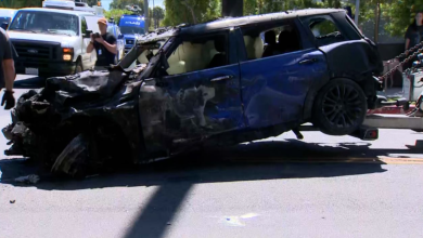 When Stars Collide: Navigating Car Accidents with Celebrities in Los Angeles