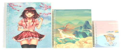 custom notebooks
