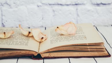 Diary of a Wimpy Kid