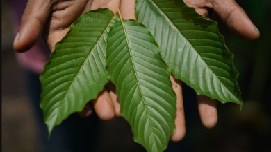 Kratom E-Commerce: A Tech-Savvy Guide to Purchasing and Using This Herbal Remedy