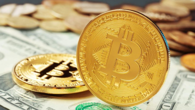 How to Identify Crypto Exchanges with the Most Comprehensive Coin Listings