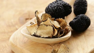 True Cost of Fresh Truffles