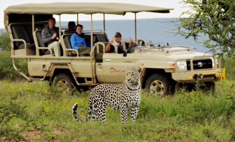 African Safari