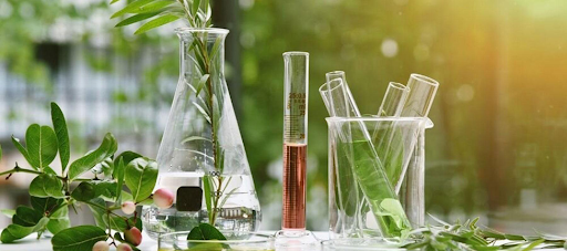 ethanol extraction machine