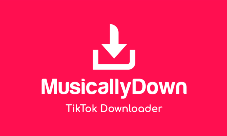 MusicallyDown - TikTok Downloader Without Watermark
