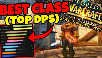 Which Is the Best Class For DPS In WOW Classic SOD