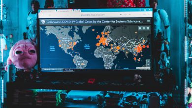 Pinnacle in Security and COVID Defense