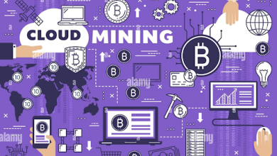 pioneering decentralized digital currency