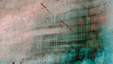 Unveiling the Distinctions